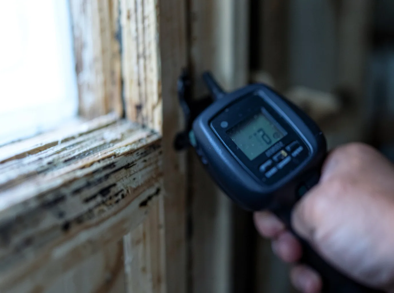 Moisture Inspection And Documentation in Gonzales, TX